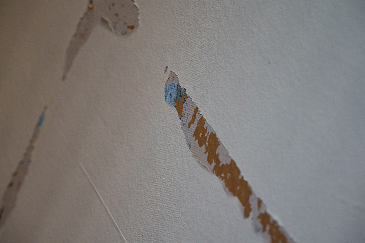 Flood Cleanup service in Bethesda, MD